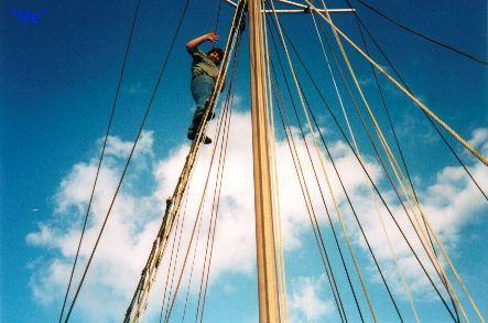 Ian Heggie up a mast — not afraid of the hard stuff